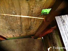 Любители, Немки, Свингеры