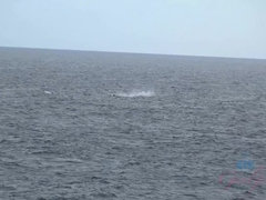 Mamada, Botas, Morena, Corrida, Vestido, Masturbacion con pies, Bragas, Bajo la falda