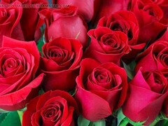 Kont naar mond, Tante, Grote kont, Indisch, Rijpe lesbienne, Moeder die ik wil neuken, Moeder