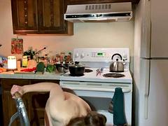 Leie, Schönheit, Fetisch, Spassig, Behaart, Küche, Rotschopf, Erotischer film