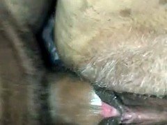 Amateur, Grosse bite, Mature, Chatte, Gicler