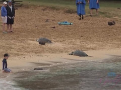 Любители, Кончили внутрь, Пальцем, Дрочка ногами, Подружка, Ласковые ручки, Оргазм, Пирсинг
