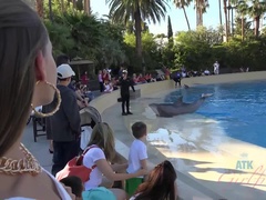 Enthousiasteling, Jurk, Vriendin, Hakken, Slipje, Doordringend, Kut duiken, Tieten likken