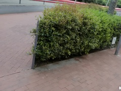 Leie, Arsch, Blondine, Blasen, Fetisch, Masturbation, Öffentlich, Kurzes haar