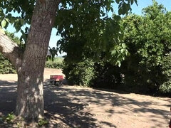 Платье, Эксгибиционист, На природе, Крошечные, От первого лица, На публике, Киски, Тощие