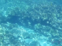 Amateur, Bikini, Penetracion con dedos, Despelote, Pequeña, Pov, Público, Tetas