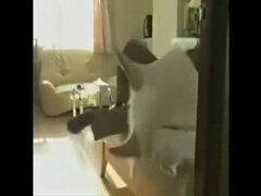 素人, アジア人, フェラチオ, 手コキする, 旦那, 日本人, 熟年, 妻