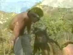 Hardcore, Pornostars