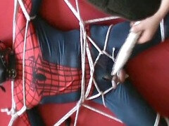 Spiderman caught in a kinky web of pleasure