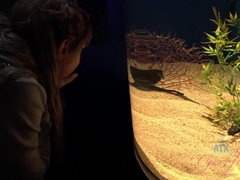 Strand, Badpak, Blond, Pijpbeurt, Vriendin, Naakt, Openbaar, Tieten likken