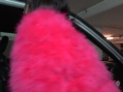 Gros seins, Sucer une bite, Brunette brune