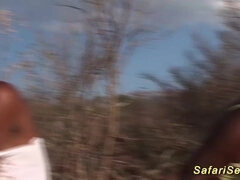 Wild African Safari Love Making Group - Amateurs sex