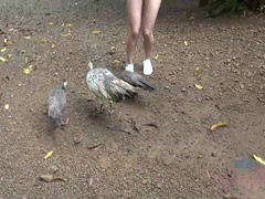 素人, 黒人, 指いじり, オーガズム, 公共, 剃毛, ガリガリ, のぞき