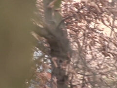 Leie, In den arsch, Blasen, Braunhaarige, Spermaladung, Hardcore, Maske, Muschi