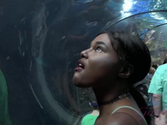 Пляж, Черненькие, Подружка, Голышом, От первого лица, На публике, Пухлые соски, Тощие