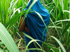 アナル, お尻, デカ尻, フェラチオ, Hd, 巨大, アウトドア, フェラする