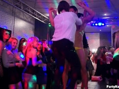 Schwarz, Gruppe, Orgie, Höschen, Strumpfhose, Ablutschen, Swingers, Titten