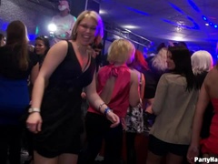 Grosse bite, Blonde, Sucer une bite, Brunette brune, En levrette, Groupe, Orgie, Jarretelles