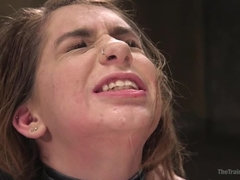 Anal, Bondage domination sadisme masochisme, Sucer une bite, Bondage, Humiliation, Douleur, Punition, Rugueux