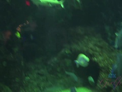 素人, お尻, ブロンド, 彼女, 眼鏡, ハメ撮り, ふっくら乳首, 剃毛