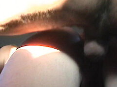 Culo, Mamada, Autobús, Gorda, Primera ves, Hd, Tetas naturales, Montar