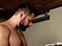 Bearded lover fucks ass nice and slow after serious blowjob foreplay
