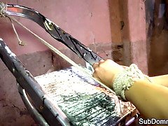 Beauté, Bondage, Fétiche, Hd, Rasée, Fils, Nénés, Jouets