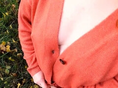 Садо мазо, Большие сиськи, Доминирование, Эксгибиционист, Немки, Унижение, Обнаженные, В поезде