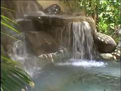 Anaal, Blond, Dubbele penetratie, Interraciaal