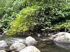 Amateur, Philippine, Hd, Orgasme, De plein air, Pov, Public, Solo