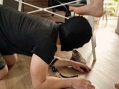 Садо мазо, Доминирование, Ноги, Женское доминирование, Унижение, Обувь, Рабыни, Носки