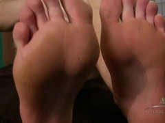 Sunshine still has the best bush around