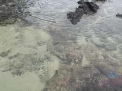 Любители, Ванна, Пляж, Бикини, Блондинки, Подружка, Пухлые соски, Бритые