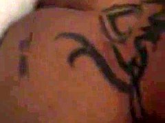 Cul, Noire, Compilation, Noir ébène