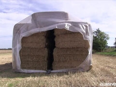 Блондинки, Минет, В клубе, Европейки, На публике, Бритые, Молоденькие, Сиськи