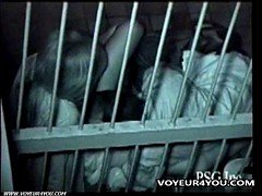 Азиатки, Парочка, Японки, На природе, Подглядывание