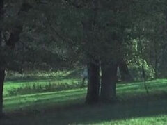 Rubia, Corridas, Francés, Clasico