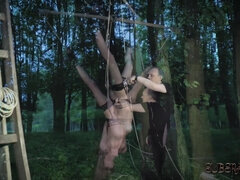 Садо мазо, Бондаж, На природе, Порка, Молоденькие, Связанные, Сиськи, Игрушки
