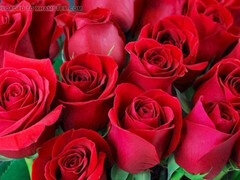 Beso negro, Dormitorio, Culo grande, Tetas grandes, Engañando, Maduro, Madres para coger, Mamá