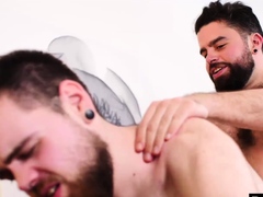 Homo, Hd