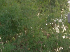 アナル, お尻, ベッドルーム, ハードコア, ヒール, オフィス, ピアス, シーメール