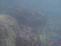 Amateur, Bikini, Exhib, Embrassement, De plein air, Pov, Rasée, Nénés