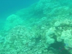 Кончили внутрь, Пальцем, Дрочка ногами, Ласковые ручки, Масло, На природе, От первого лица, Влажная