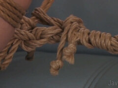 アジア人, 美女, 緊縛, デカパイ, ボンデージ, 気狂い, 日本人, ヤリマン