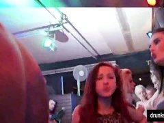 パーティ, 公共