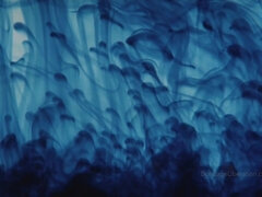 Cul, Bondage domination sadisme masochisme, Gros cul, Gros seins, Fétiche, Orgasme, Chatte, Caoutchouc