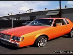 Anal, Gros cul, Gros seins, Brunette brune, Tir de sperme, Queue, Hd, Interracial