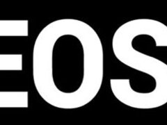 Culo, Tetas grandes, Perra, Sexo duro, Latina, Madres para coger, Tetas, Mojado