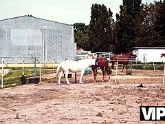 Член, Грязь, Женщины, Хд, Пенис