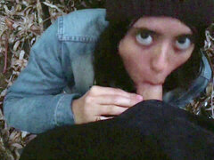 Pijpbeurt, Sperma shot, Handbeurt, Aftrekken, Gezichtspunt